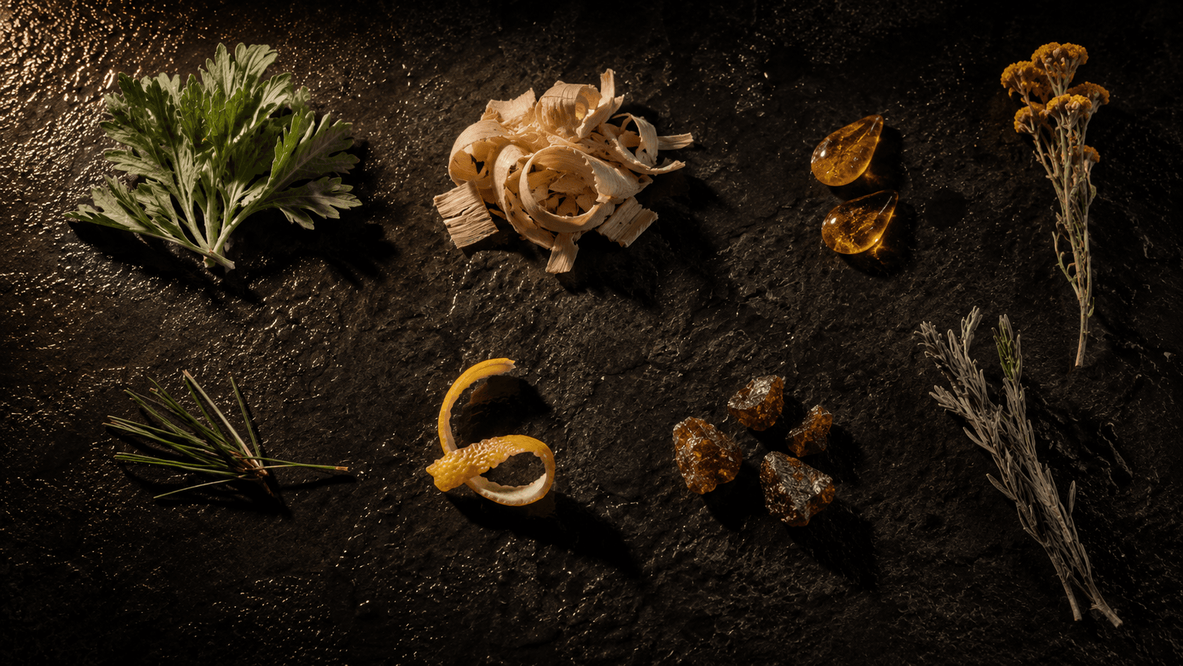 The eight Yumori botanicals on dark wet basalt — yomogi, hinoki shavings, mastic resin, helichrysum, black spruce needles, yuzu peel, cistus labdanum, davana
